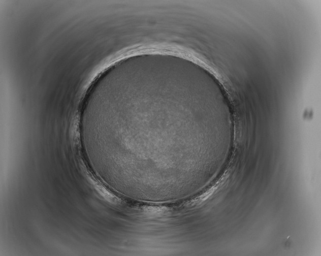 X0000099291498200805021219