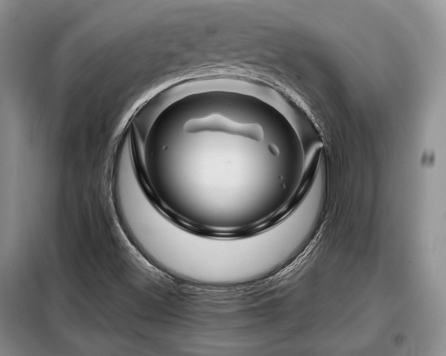 X0000099291500200805021219
