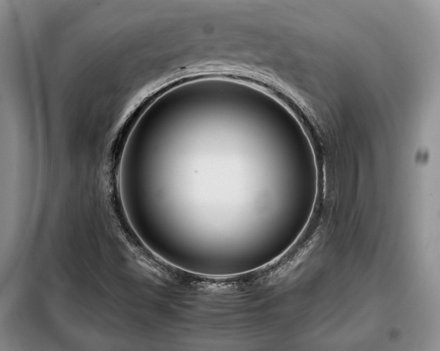 X0000099291501200805021219