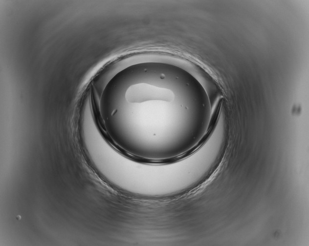 X0000099291502200805021219