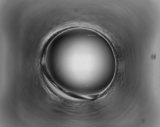 X0000099291503200805021219