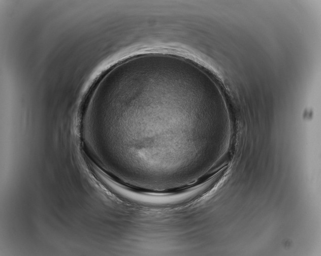 X0000099291506200805021219