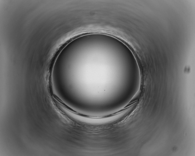 X0000099291507200805021219