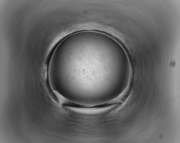 X0000099291509200805021219