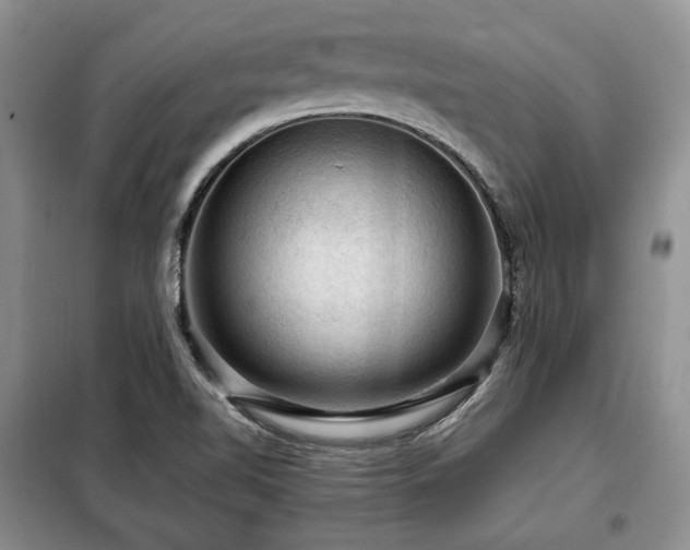 X0000099291510200805021219