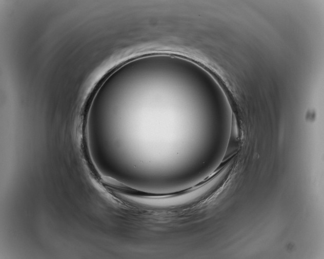 X0000099291511200805021220