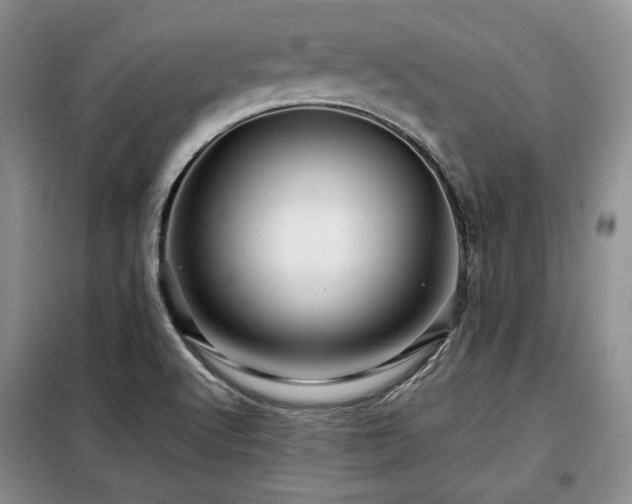 X0000099291512200805021220
