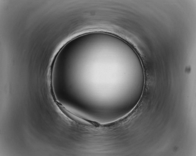 X0000099291516200805021220