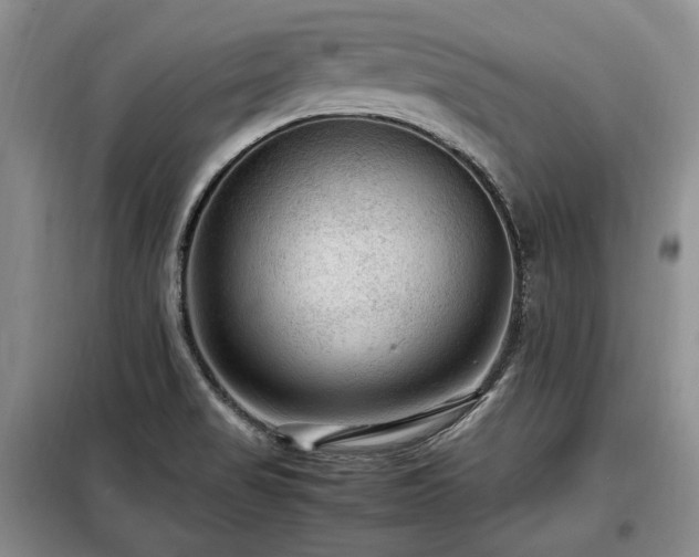 X0000099291517200805021220