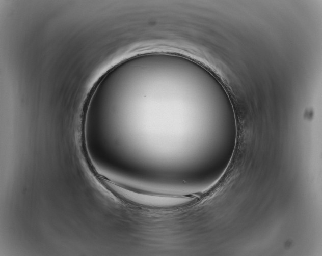 X0000099291518200805021220