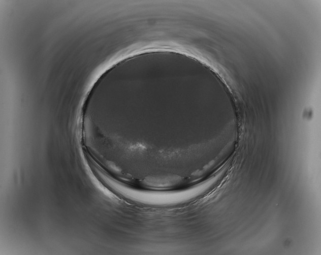 X0000099291519200805021220