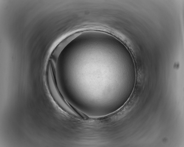 X0000099291520200805021220