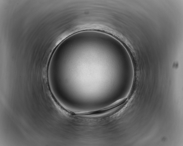 X0000099291521200805021220