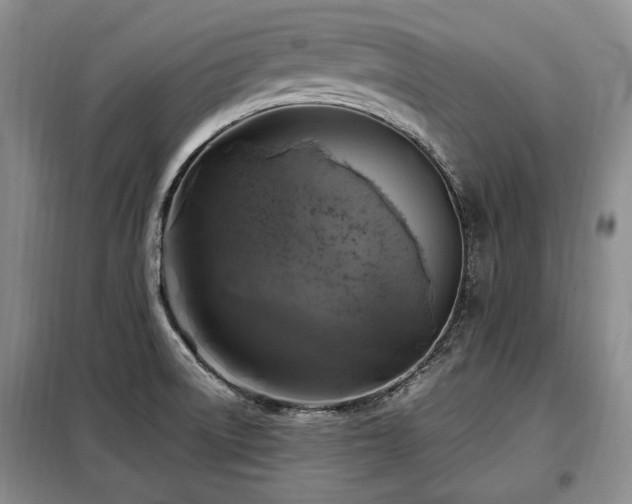 X0000099291522200805021220