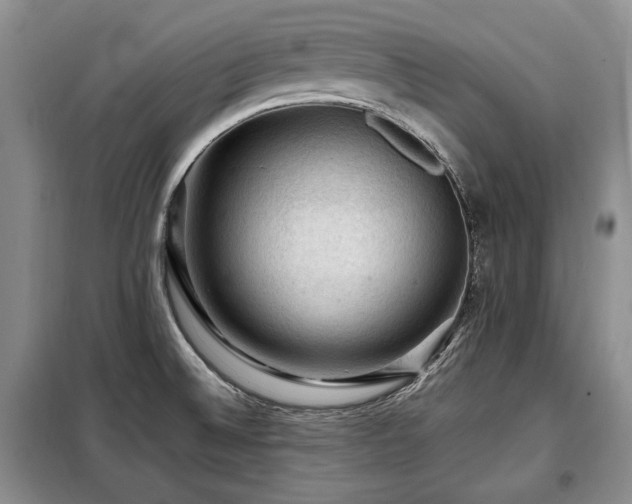 X0000099291524200805021220