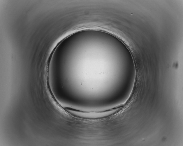 X0000099291526200805021220