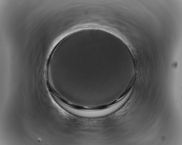X0000099291527200805021220