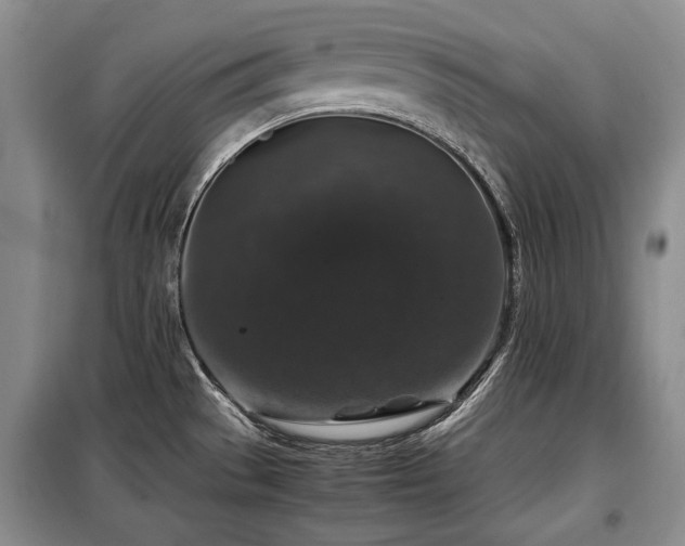 X0000099291529200805021220