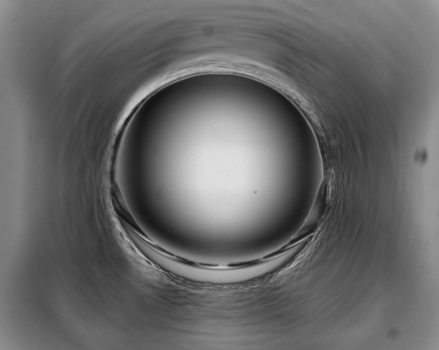 X0000099291530200805021220