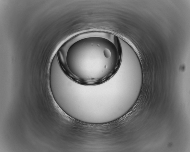X0000099291532200805021220