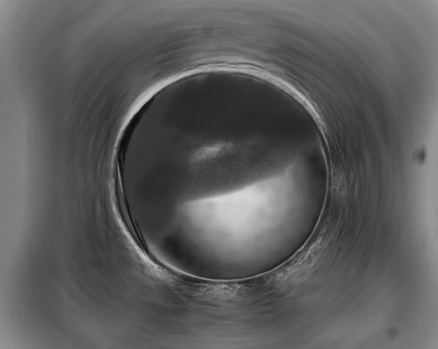 X0000099291533200805021220