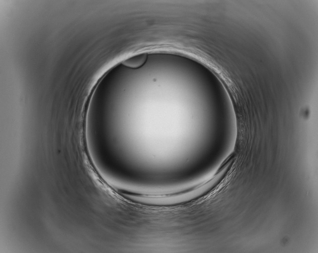 X0000099291534200805021220