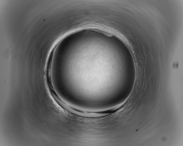 X0000099291536200805021220