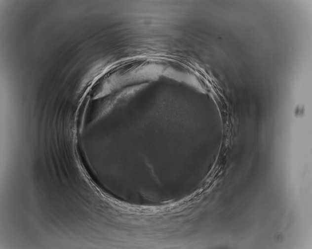 X0000099290002200805090941