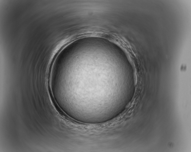 X0000099290003200805090941