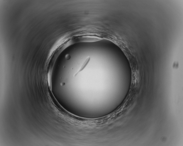 X0000099290004200805090941