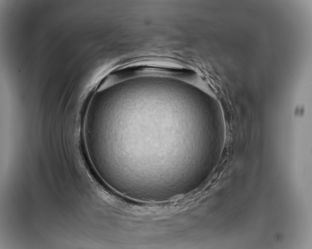 X0000099290005200805090941
