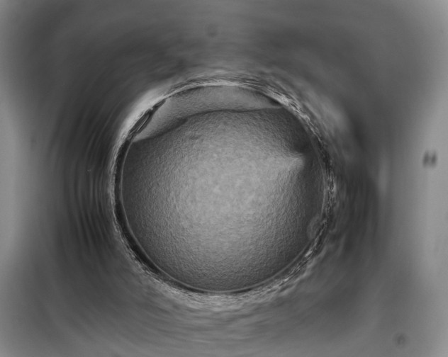 X0000099290006200805090941