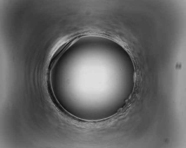 X0000099290007200805090941