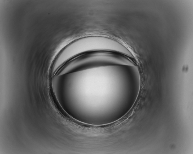 X0000099290008200805090941