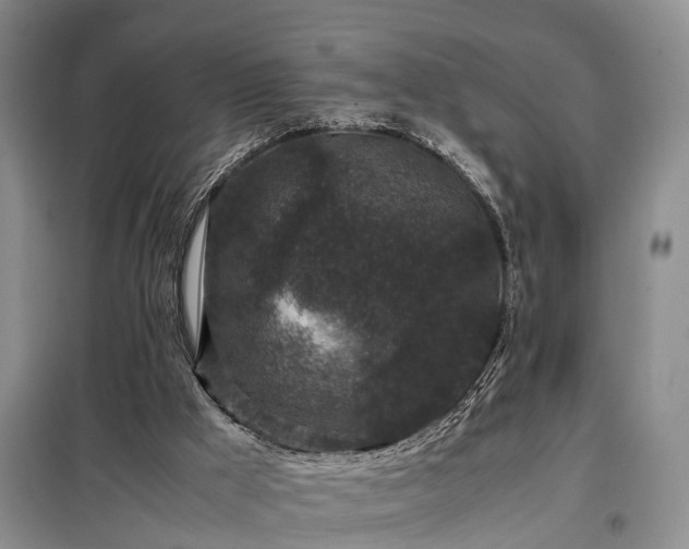 X0000099290009200805090941