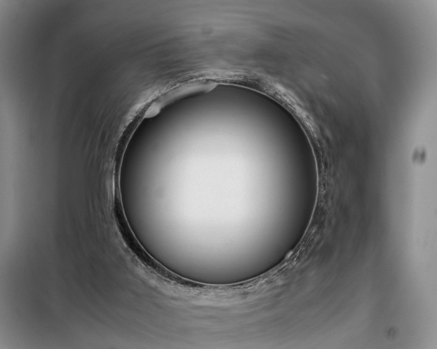 X0000099290011200805090941