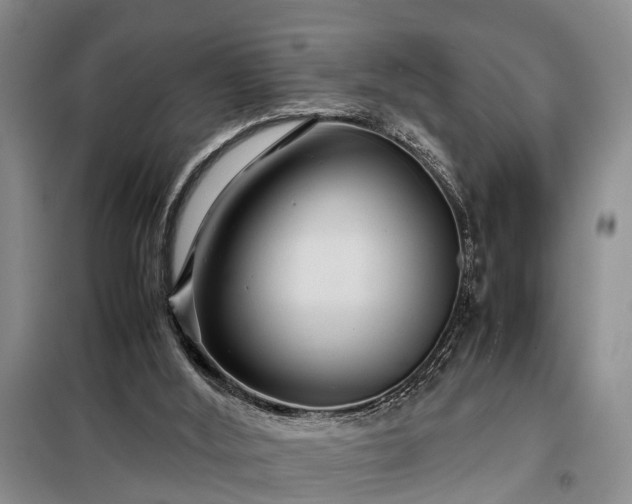 X0000099290012200805090941