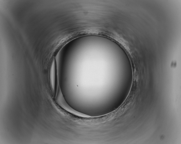X0000099290013200805090941