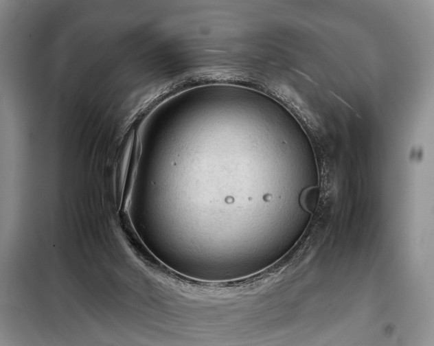 X0000099290014200805090941