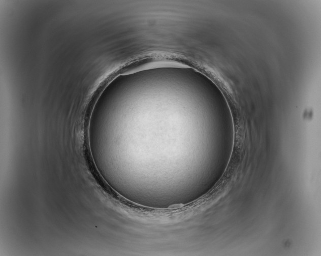 X0000099290015200805090941