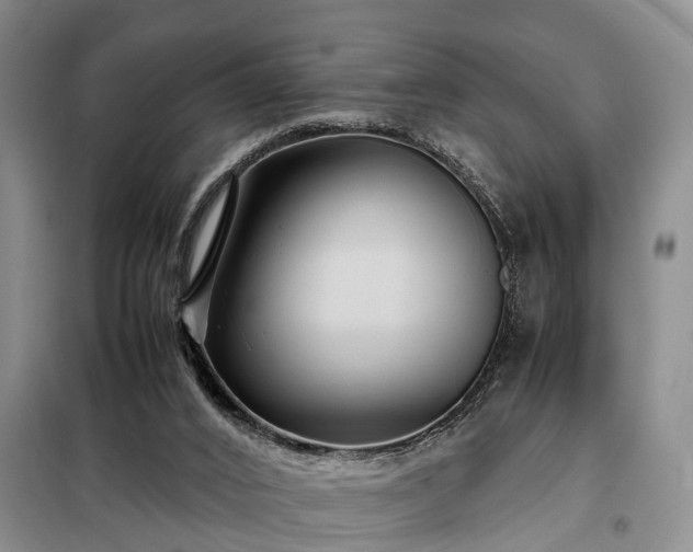 X0000099290016200805090941