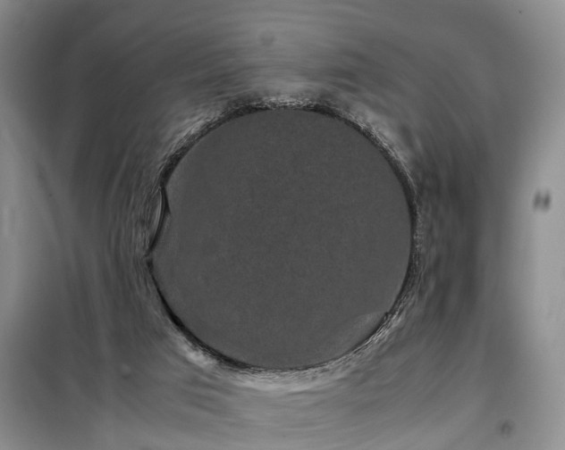 X0000099290017200805090941