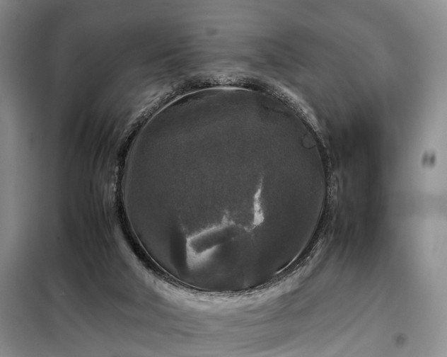 X0000099290018200805090941