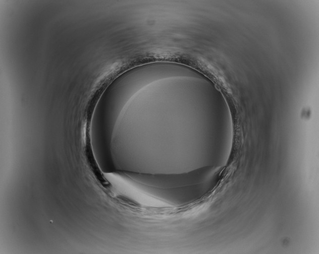 X0000099290019200805090941