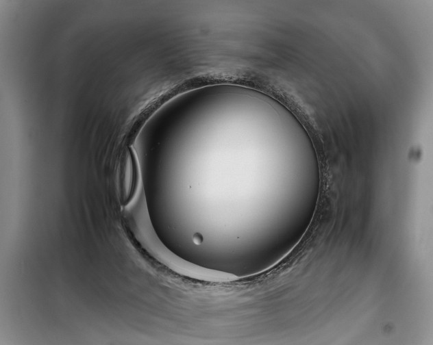 X0000099290020200805090941