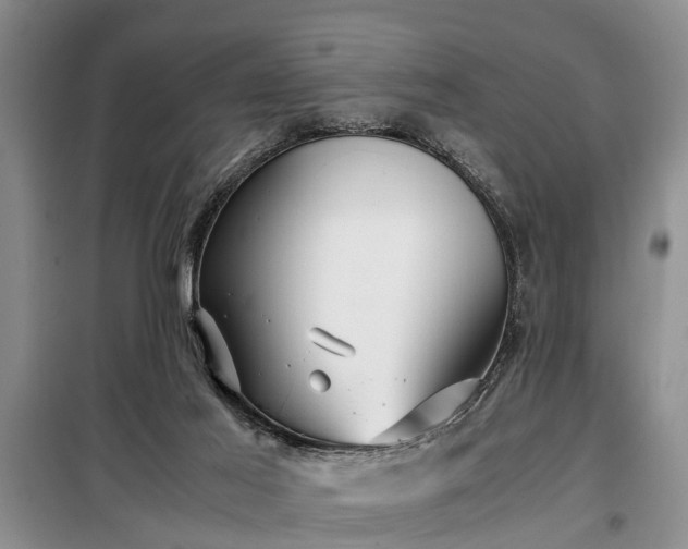 X0000099290021200805090941