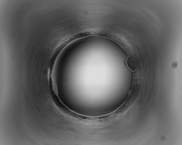 X0000099290024200805090941