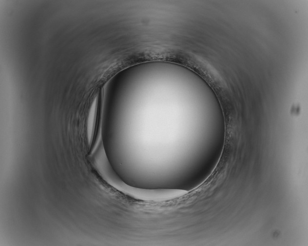 X0000099290025200805090941