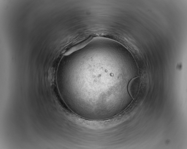 X0000099290030200805090941