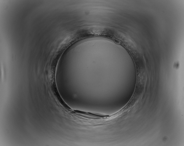 X0000099290031200805090941